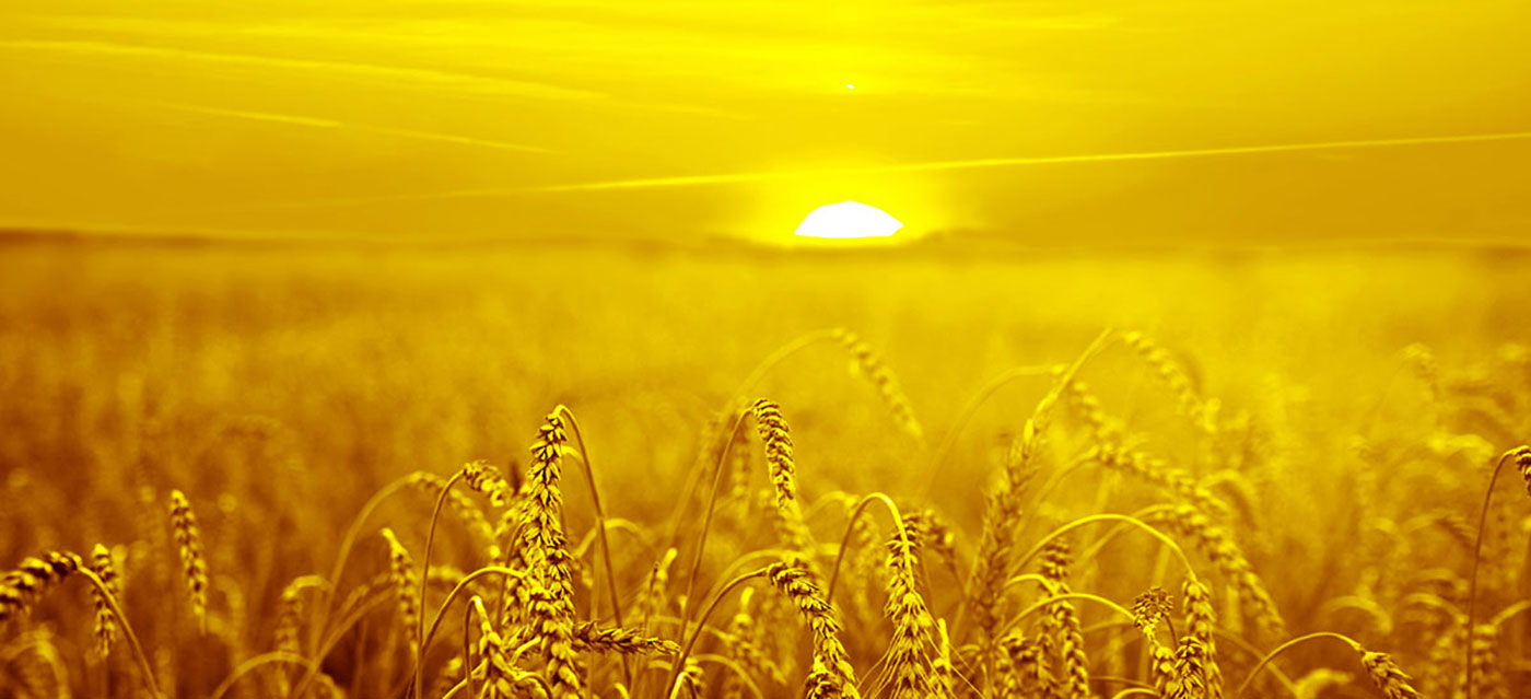 आम्हाला रंग सोल्यूशन ऑफर करणे आवडते